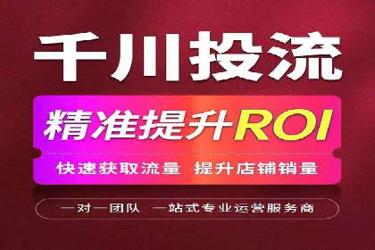 百度广告投放技巧及效果评估案例